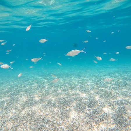Complejo Turistico Los Bayiyos Agua Amarga (Almeria) Exterior foto